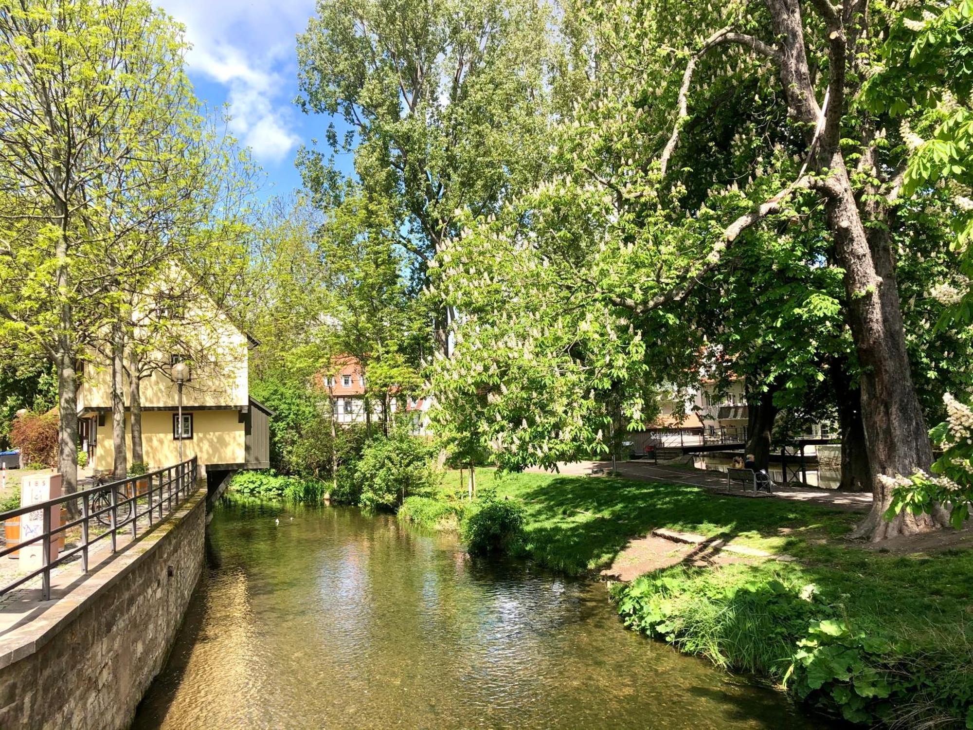 Ferienwohnung Augenblick - Stylisches Apartment In Der Besten Altstadtlage Von Erfurt Eksteriør bilde